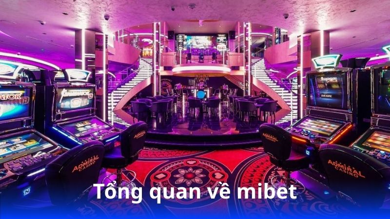 Mibet – Uy tín, minh bạch và chuyên nghiệp 2 tong-quan-ve-mibet