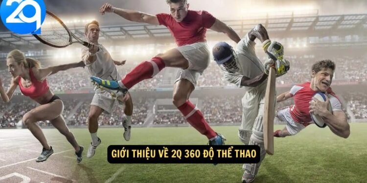 2Q 360 Độ Thể Thao – Cập Nhật Tin Tức & Sự Kiện Thể Thao Nóng Hổi