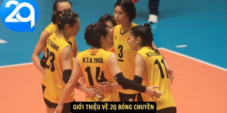 2q Bóng Chuyền – Đặt Cược Và Theo Dõi Trực Tiếp Các Trận Đấu