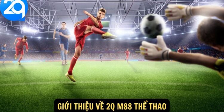 2Q M88 Thể Thao – Cập Nhật Tin Tức & Kèo Cá Cược Mới 1 2Q M88 Thể Thao – Cập Nhật Tin Tức & Kèo Cá Cược Mới