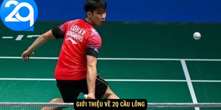 2q Cầu Lông – Nền Tảng Cá Cược Cầu Lông Chất Lượng Cao