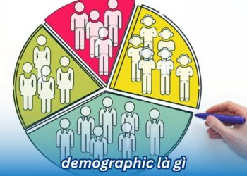 Hiểu rõ Demographic là gì và Vai trò của nó trong marketing