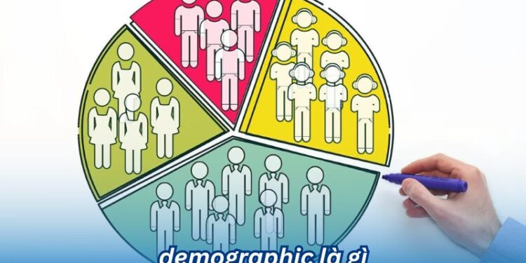 Hiểu rõ Demographic là gì và Vai trò của nó trong marketing