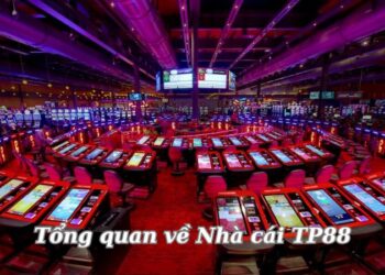 tong-quan-ve-nha-cai-tp88