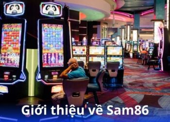 gioi-thieu-ve-sam86