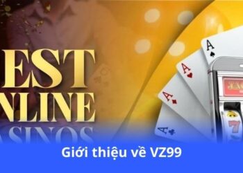 gioi-thieu-ve-vz99